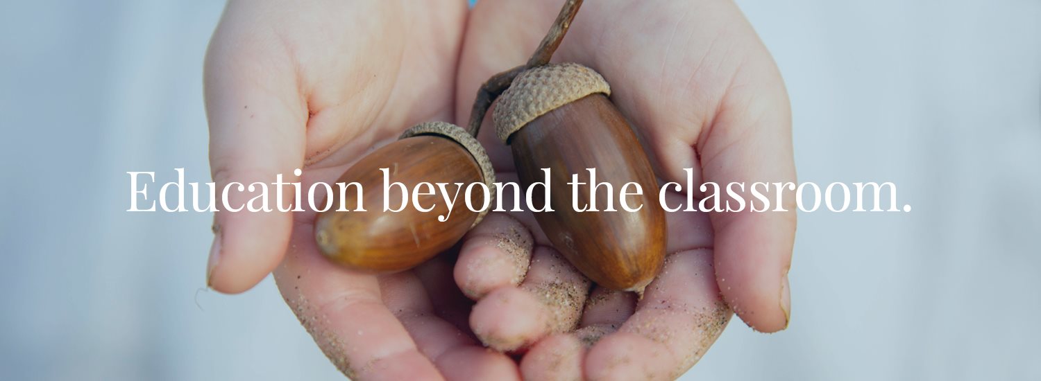 Hands holding acorns with a message of education beyond the classroom.